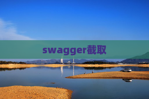 swagger截取